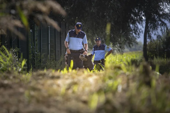 Šarec je dejal, da je treba vprašanje migracij reševati pri njihovem izvoru in tam omogočiti razmere, da do njih sploh ne pride. FOTO: Voranc Vogel