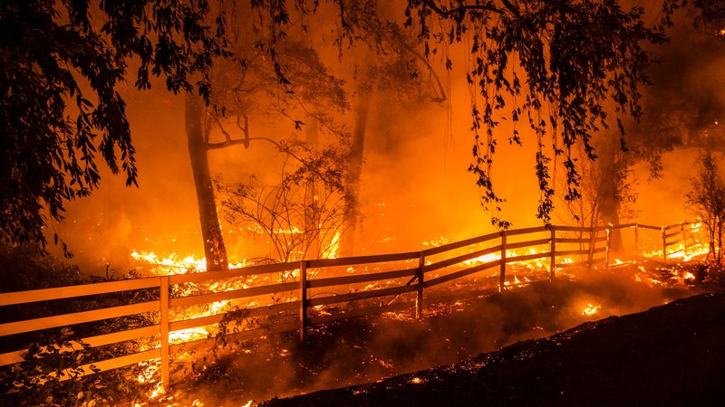Fotografija: Požar Kincade se je razširil na 260 kvadratnih kilometrov, uničil je 96 zgradb, od tega 40 stanovanjskih hiš, ogroža jih še 80.000. Ukaz za evakuacijo je prizadel 200.000 ljudi predvsem iz mesta Santa Rosa. Foto Philip Pacheco/AFP