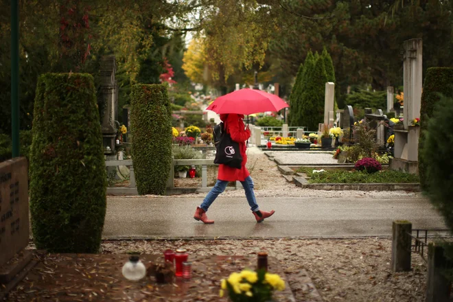 Ljubljanske žale ob prihajajočem dnevu spomina na mrtve. FOTO: Jure Eržen/Delo