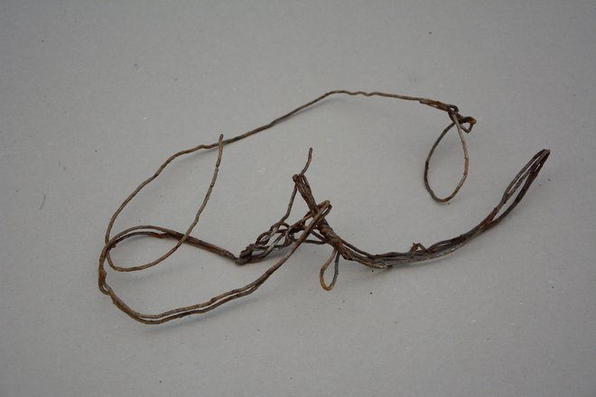 Dobro ohranjen ostanek lisic iz žice, v katere so bili umorjeni zvezani. Foto Bojan Vovk