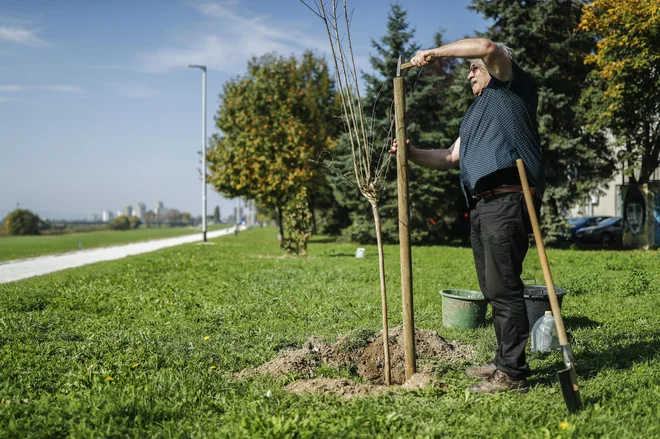 &raquo;Kdor posadi drevo, nima rad samo sebe, ampak tudi druge.&laquo; Foto Uroš Hočevar