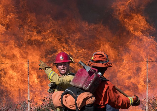 Gasica v borbi s plameni ob cesti, ki vodi do Reaganove knjižnice. FOTO: Mark Ralston/AFP