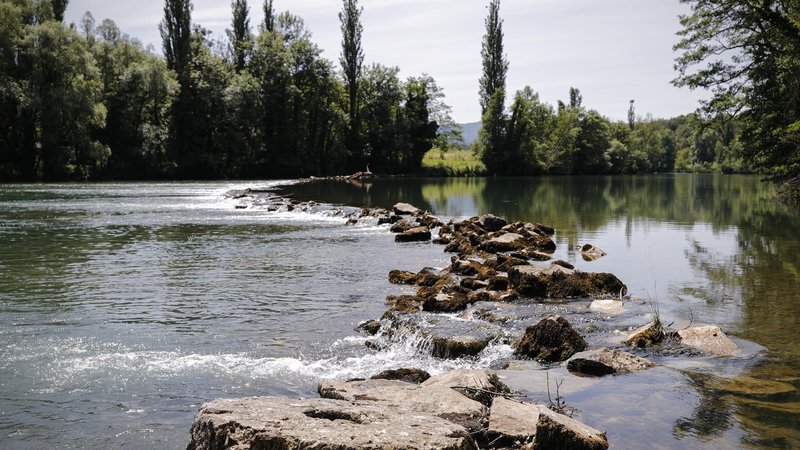 Fotografija: Levi breg mejne reke Kolpe, v Učakovcih. FOTO: Uroš Hočevar