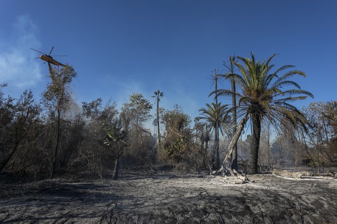 Znanstveniki predlagajo šest korakov, s katerim bi lahko omilili posledice podnebnih sprememb. FOTO: David Mcnew/AFP