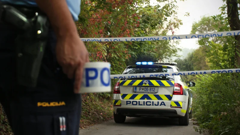 Fotografija: Brata sta onemoglega moškega našla v gozdu blizu Ilirske Bistrice. FOTO: Jure Eržen/Delo