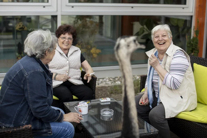 Težav in priložnosti sodobne (starajoče se) družbe se moramo zavedati: od raznih bolezni do osamljenosti in seveda potreb, da si med seboj pomagamo in smo povezani. Foto Voranc Vogel