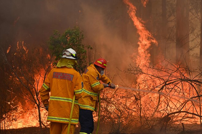 V Novem Južnem Walesu je naenkrat gorelo 17 požarov največjega obsega, kar se doslej še ni zgodilo. FOTO: Peter Parks/Afp