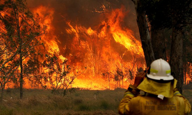 V Novem Južnem Walesu divjajo požari. FOTO: Stringer Reuters