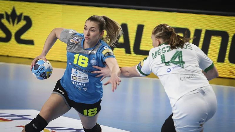 Nina Zulić je bila z desetimi goli najboljša igralka Krima. FOTO: Jože Suhadolnik