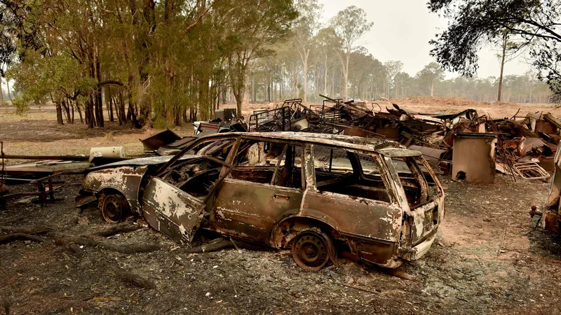 Fotografija: Posledice požarov v kraju Old Bar severno od Sydneyja. FOTO: Peter Parks/AFP