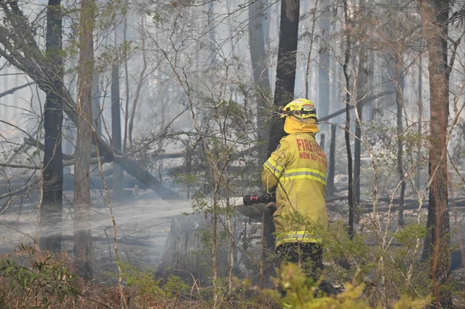 S požari na vzhodu Avstralije se spopada 1300 gasilcev. FOTO: Peter Parks/AFP