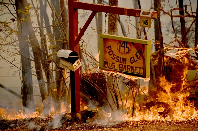 Ogenj je zajel domačijo v kraju Taree, 350 km severno od Sydneyja. FOTO: Peter Parks/AFP