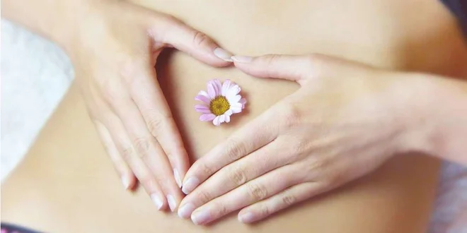 Raziskave črevesne mikrobiote kažejo, da imajo debeli ljudje nekoliko drugačno sestavo črevesnih bakterij. FOTO: Shutterstock