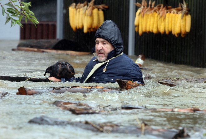 Legendarna fotografija Petra Žlahtiča, ki je novembra 2012 iz podivjane vode v Dupleku reševal svojega psa Ramba. FOTO: Tadej Regent/Delo