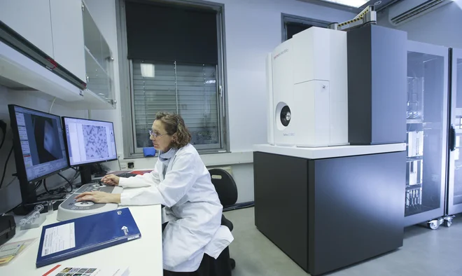 Novo opremo so kupili s sredstvi NIB, agencije za raziskovalno dejavnost, oddelka za biologijo biotehniške fakultete in Kemijskega inštituta, med prvimi pa je mikroskop preizkusila dr. Magda Tušek Žnidarič.<br />
Foto Jože Suhadolnik