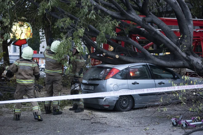 Porušena drevesa v splitu. FOTO: Paun Paunovic/Cropix&nbsp;