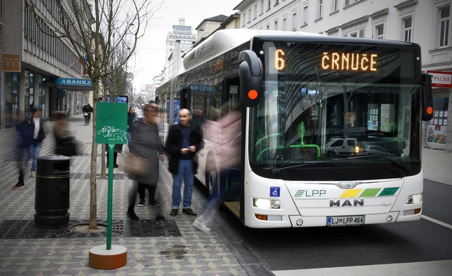 Vozniki Ljubljanskega potniškega prometa so dosegli vplačevanje prispevkov za poklicno zavarovanje. FOTO: Blaž Samec/Delo