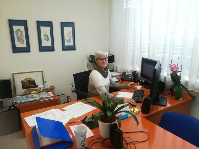 Ivica Vončina, ravnateljica OŠ Idrija, o konkretnih prihrankih s projektom 3Smart še ne more govoriti. FOTO: Anja Intihar