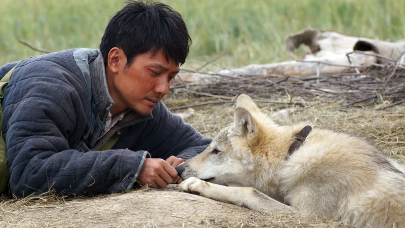 Fotografija: Le dernier loup - Volčji totem Foto TVS
