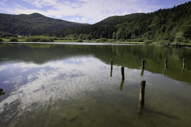 V Mestni občini Ljubljana na možnost poplav ob koncu tedna posebej opozarjajo občane, ki živijo na in ob Barju. FOTO: Jože Suhadolnik/Delo