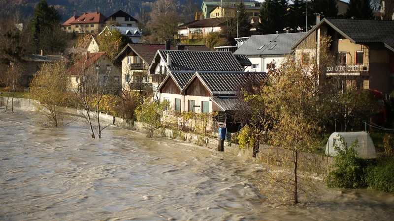 Narasla Drava ob vstopu v Slovenijo pri Dravogradu je ogrožala stanovanjske hiše ob Ribiški poti. FOTO: Jure Eržen