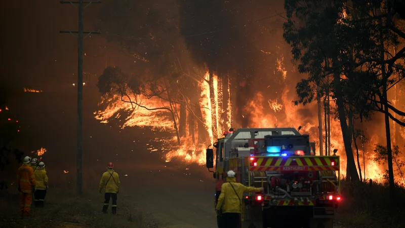 Fotografija: Dim se je dvignil tudi nad Sydney. FOTO: Stringer Reuters