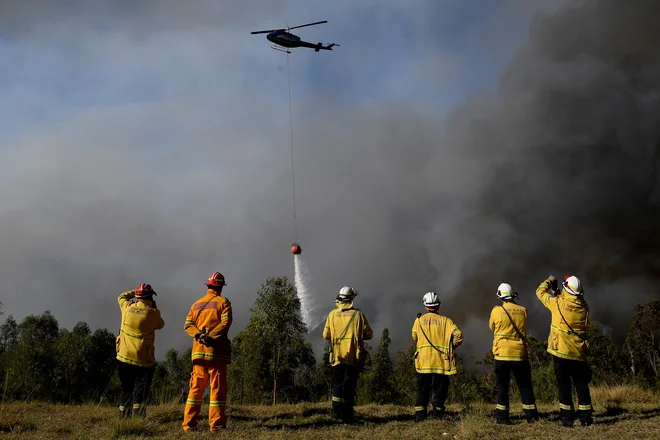 Najhuje je v Novem Južnem Walesu in Queenslandu, a zdaj so ognjeni zublji vzplamteli tudi že na Tasmaniji. FOTO: Stringer Reuters