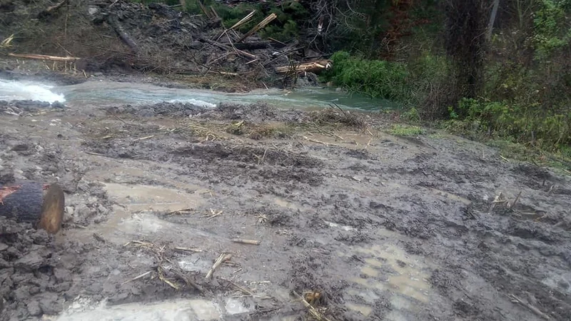 Fotografija: Voda se je razlila po travnikih in začela ogrožati bližnje stanovanjske hiše. Z delovnim strojem so uspeli reko preusmeriti v strugo. FOTO: PGD Podgorje/Facebook