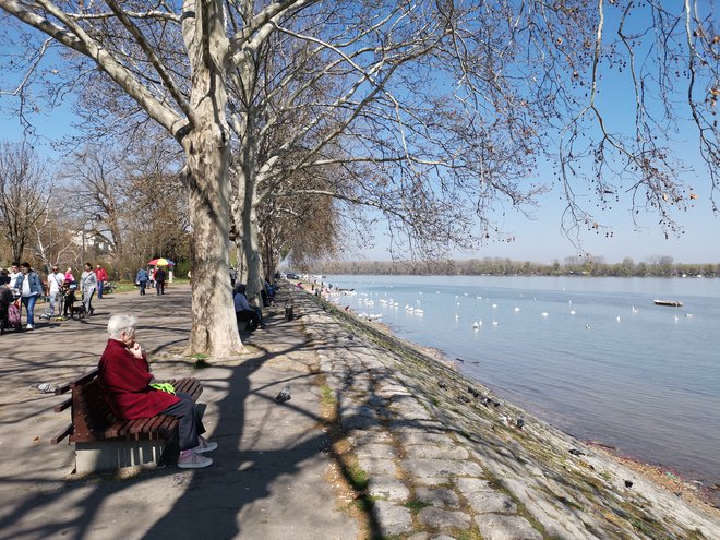 Sprehajališče v Zemunu ob reki Donavi, v bližini katerega je ruski obveščevalec dal denar srbskemu častniku. FOTO: Milena Zupanič