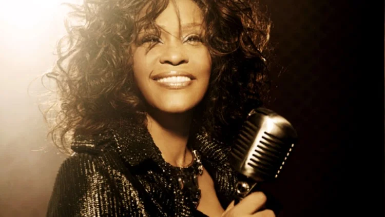 Fotografija: Whitney: Can I Be Me? - Whitney: Smem biti, kar sem? Foto TVS