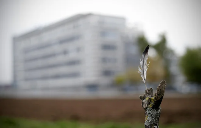 Informacijski pooblaščenec je že tedaj ugotovil, da Sova ob izvajanju strateškega nadzora dejansko izvaja osredotočen nadzor in pri tem nastaja zbirka osebnih podatkov. FOTO: Blaž Samec/Delo