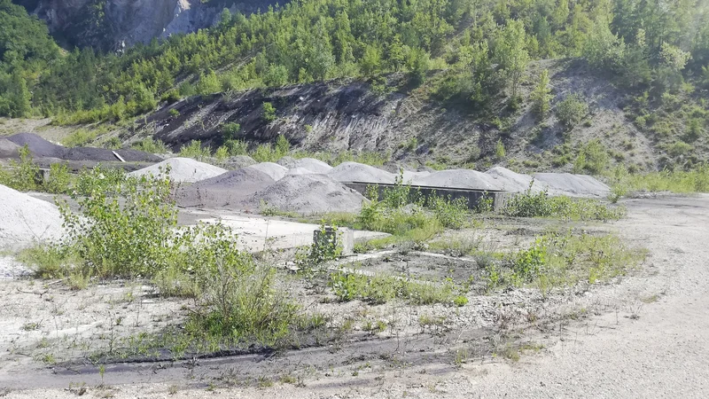 Fotografija: In kaj naj naj bi drugega, kot da so našli nadomestno lokacijo za odlaganje pepela, počeli tovornjaki s krško registracijo na gradbišču STTIM, se sprašujejo v Civilni iniciativi. FOTO: Jože Pustoslemšek