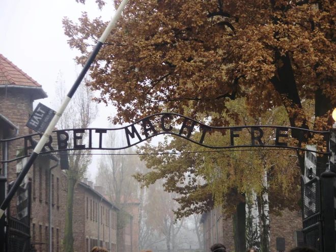 Zapiranje meja ni trajna rešitev, je bil prepričan Branko Lustig, ki je kot otrok preživel taborišči Auschwitz in Bergen-Belsen. FOTO: Jasna Kontler - Salamon