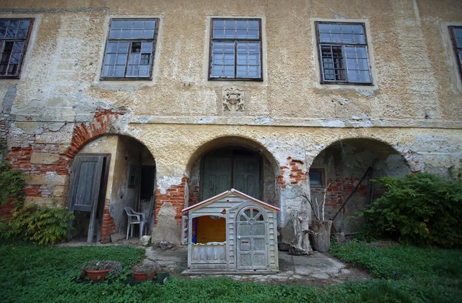 Grad, ki se je zaradi cvetočega gospodarstva nekoč okitil kar z vzdevkom Rosenau, je danes zaradi nevzdrževanja le še senca svoje podobe iz zlatih časov. FOTO: Tadej Regent