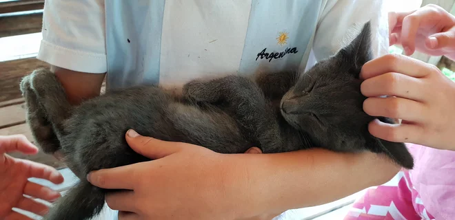 FOTO: Špela Kuralt/Delo