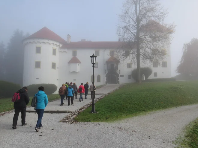 Grad Bogenšperk bo odslej odprt vse leto. FOTO: Bojan Rajšek/Delo