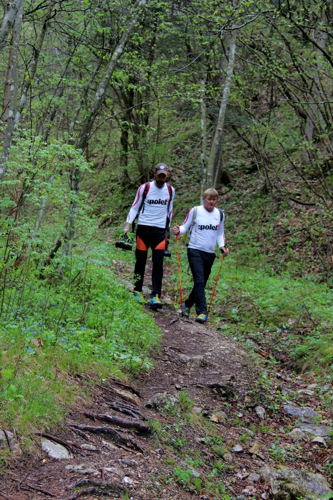 Tudi pohodni model Stol ima odličen oprijem podplata s podlago, hkrati pa najnovejša tehnologija Vibram nevtralizira vibracije med hojo. Foto: arhiv Delo