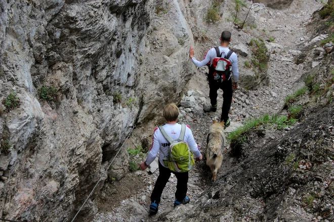 Dobra vodoodporna zaščita se je na testu pokazala pri hoji po mokrih travah in prečenju potoka. Foto: arhiv Delo