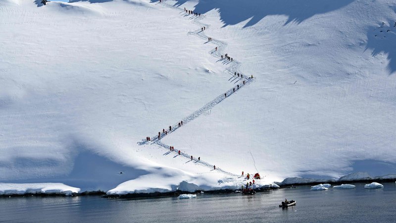 Fotografija: Turisti so se s čolni izkrcali iz ladje, ki potuje po Antarktiki in obiskali Orne Harbur na Šetlandskih otokih. FOTO: Johan Ordonez/Afp
 
