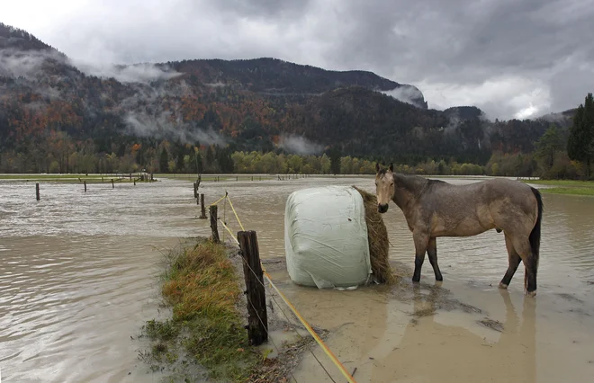 Poplave uničijo pridelek hitreje kot suša, oboje pa se krepi. FOTO: Leon Vidic/Delo