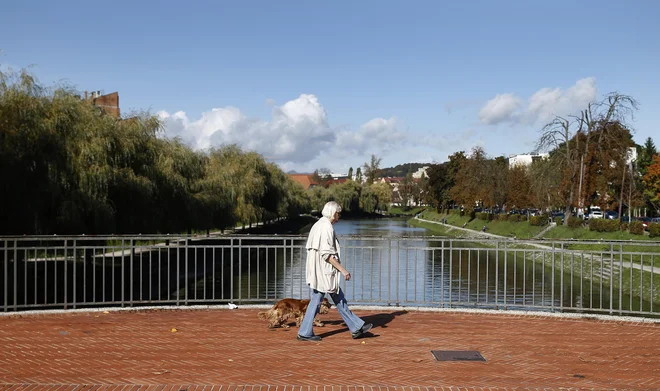 Prebivalec Slovenije si z rednim gibanjem na prostem zagotovi od 80 do 90 odstotkov lastne proizvodnje vitamina D. Foto Blaž Samec