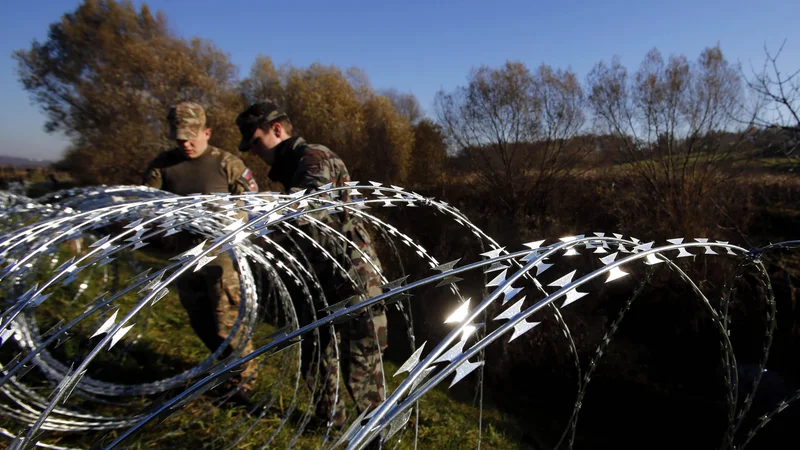 Fotografija: FOTO: Matej Družnik/Delo