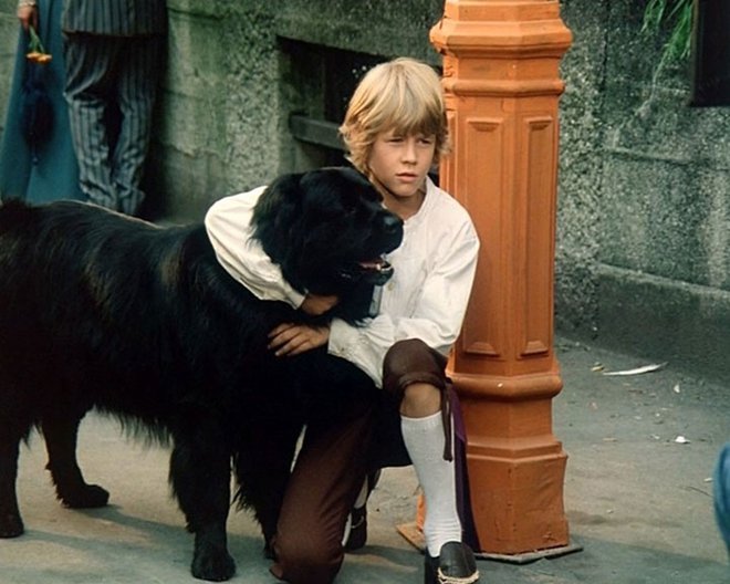 Najbolj slaven slovenski pes je bil zagotovo Jakob, glavni junak filma Sreča na vrvici. FOTO: promocijsko gradivo