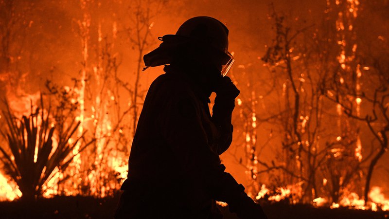 Fotografija: Gozdni požari v državi sicer niso redkost, ampak so po oceni znanstvenikov letos razmere precej hujše, kar bi lahko pripisali podnebnim spremembam. FOTO: Stringer/Reuters