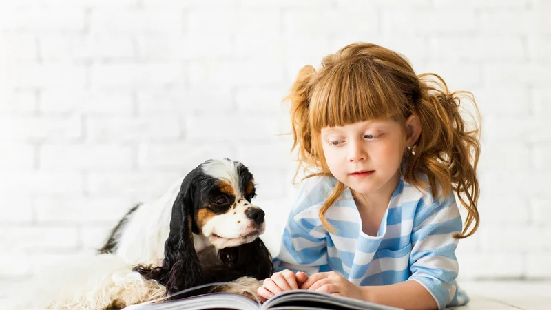 Fotografija: Raziskava univerze v Britanski Kolumbiji je pokazala, da hišni ljubljenčki prispevajo k boljšemu učnemu okolju, otroke pa celo motivirajo za branje. FOTO: Shutterstock