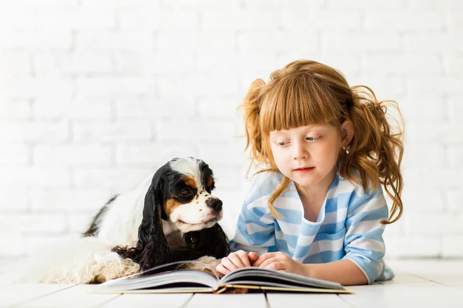 Zdi se mi, da smo današnji odrasli, kljub pravljicam, ki jih je bilo v naši mladosti obilo, zamudili kakšno lekcijo iz te tematike. FOTO: Shutterstock