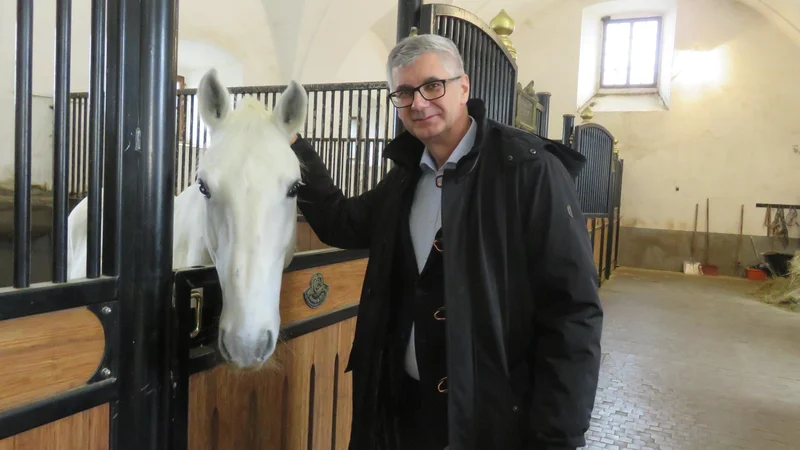 Fotografija: Matej Oset se je razšel s prejšnjim vodstvom lipiške kobilarne, ki je letos dvignilo veliko prahu zaradi očitkov o pomanjkljivem ravnanju s konji.
Foto Nataša Čepar