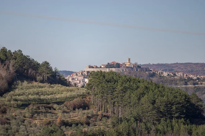 Istrske kolesarske stranpoti ponujajo razglede, ki jih z glavnih cest ne boste videli. FOTO: KL-Photo