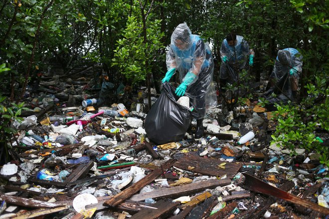 Nasadi mangrov poleg valov zadržijo tudi odpadke, ki jih ljudje odvržejo v morje, tudi na drugem koncu sveta. FOTO: Amanda Perobelli/Reuters