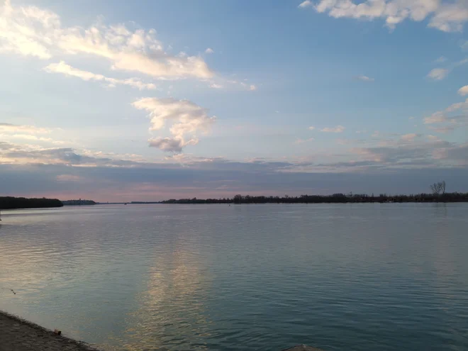 Hrvaška in Srbija se še nista sporazumeli o 145 kilometrih meje na Donavi. Foto Milena Zupanič